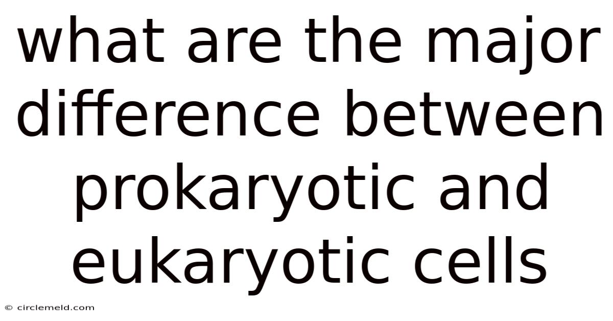 What Are The Major Difference Between Prokaryotic And Eukaryotic Cells