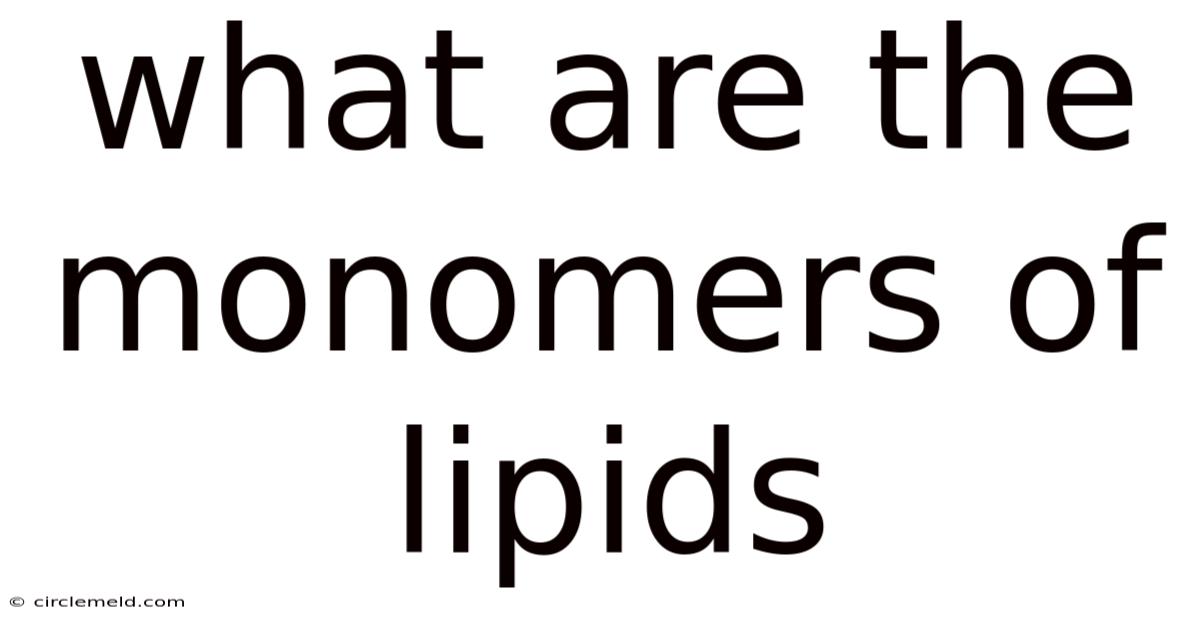 What Are The Monomers Of Lipids