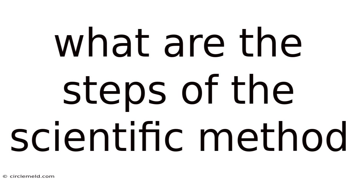 What Are The Steps Of The Scientific Method