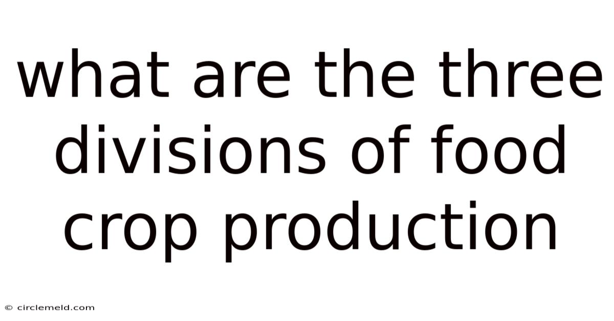 What Are The Three Divisions Of Food Crop Production