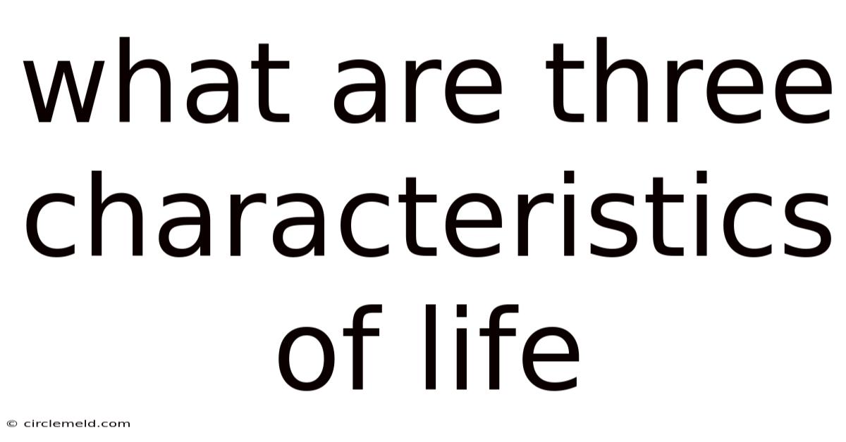 What Are Three Characteristics Of Life