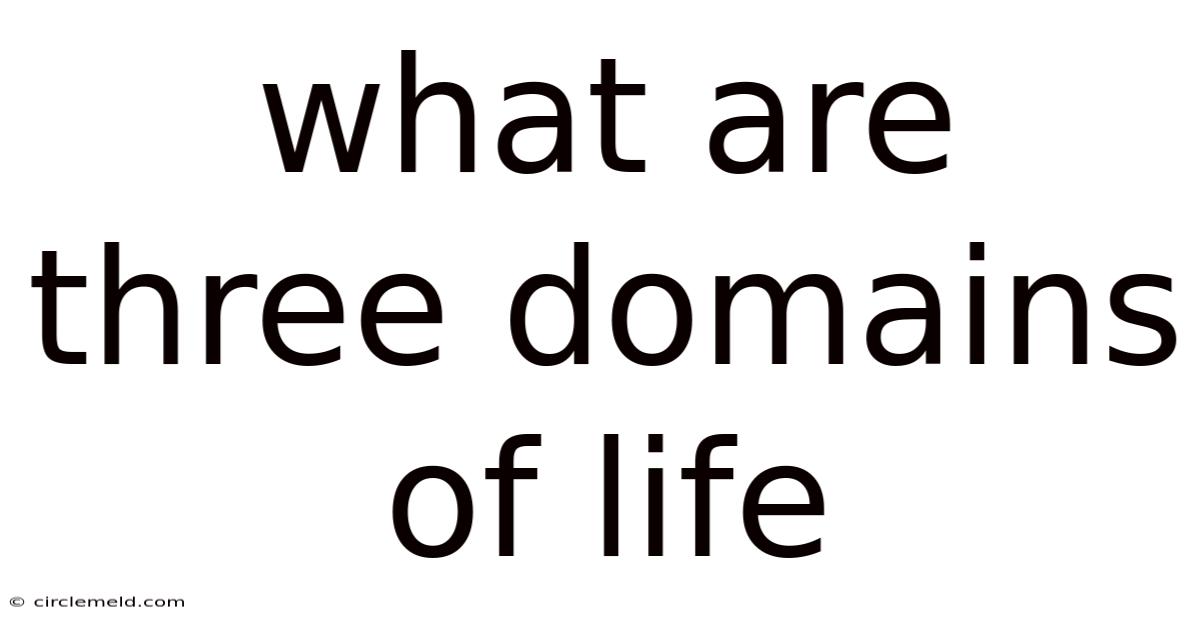 What Are Three Domains Of Life