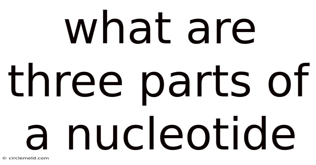 What Are Three Parts Of A Nucleotide