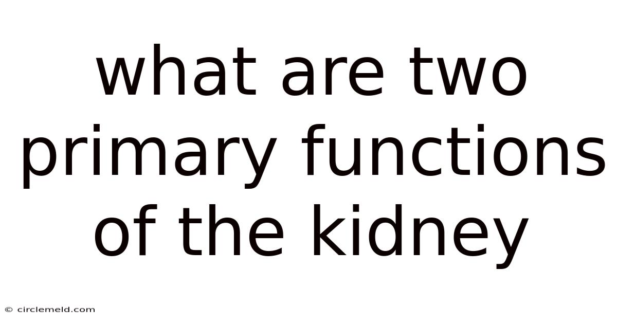 What Are Two Primary Functions Of The Kidney