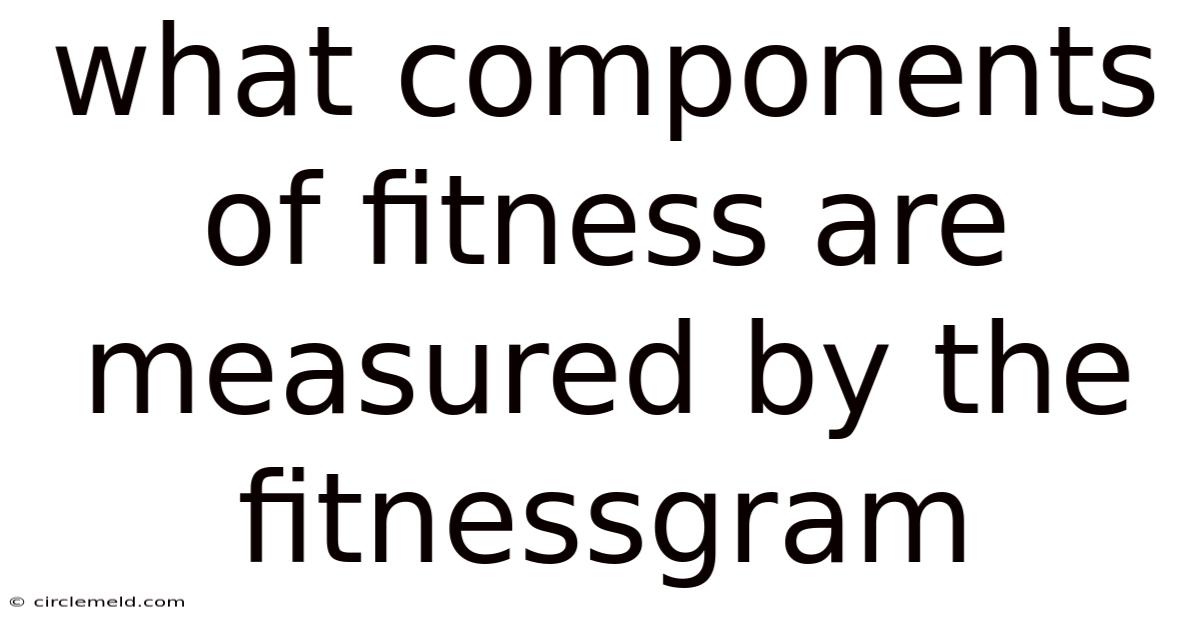What Components Of Fitness Are Measured By The Fitnessgram