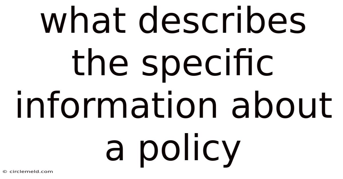 What Describes The Specific Information About A Policy
