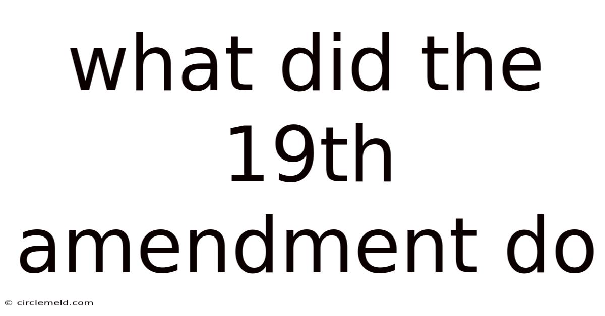 What Did The 19th Amendment Do