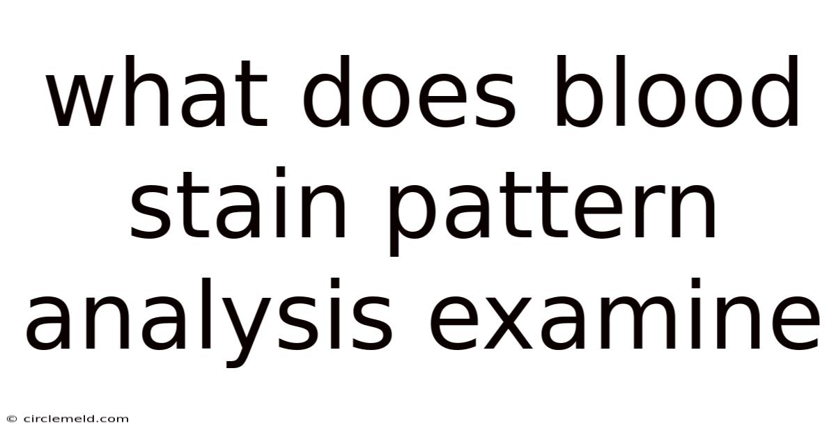 What Does Blood Stain Pattern Analysis Examine