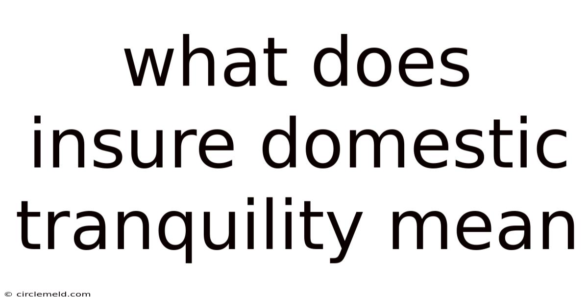 What Does Insure Domestic Tranquility Mean