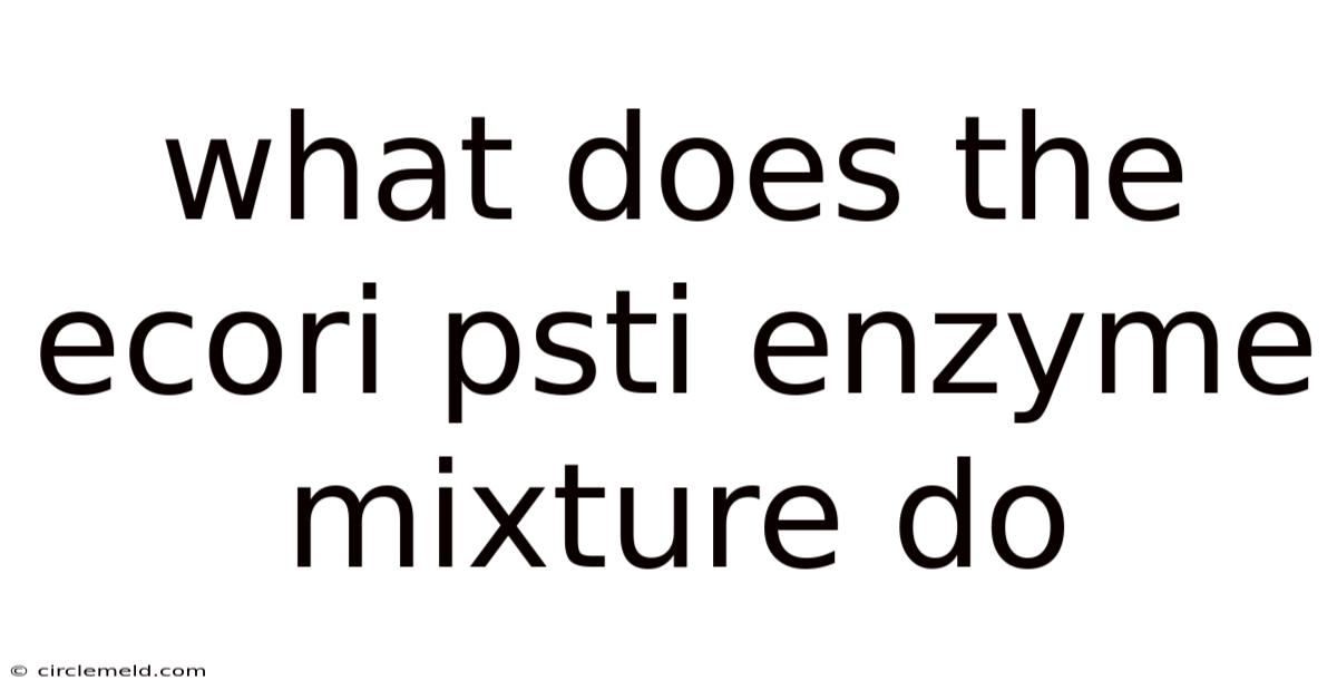 What Does The Ecori Psti Enzyme Mixture Do