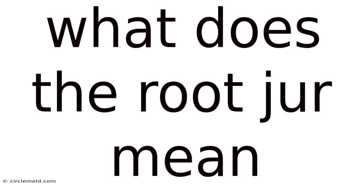 What Does The Root Jur Mean