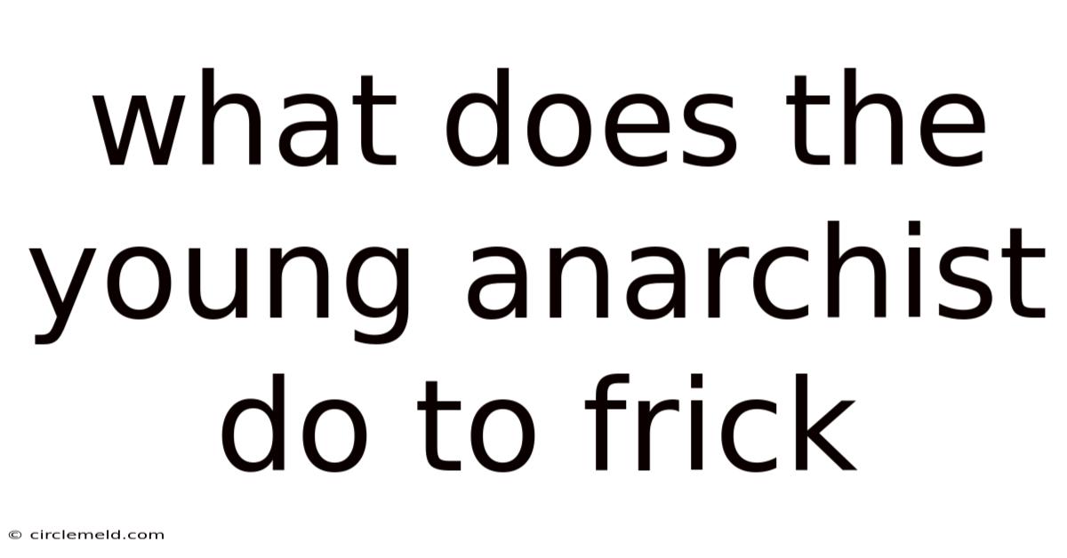 What Does The Young Anarchist Do To Frick