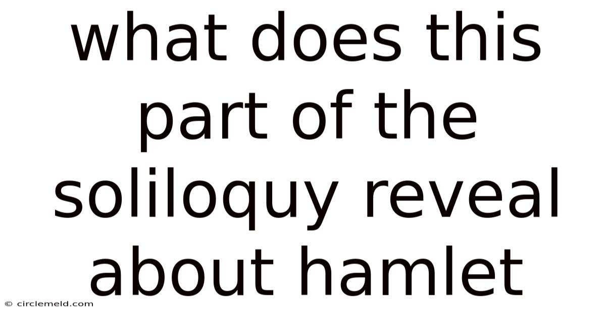 What Does This Part Of The Soliloquy Reveal About Hamlet