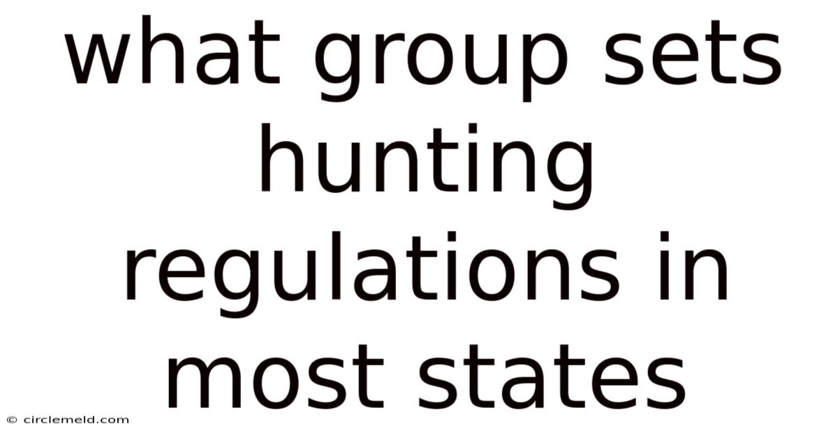 What Group Sets Hunting Regulations In Most States