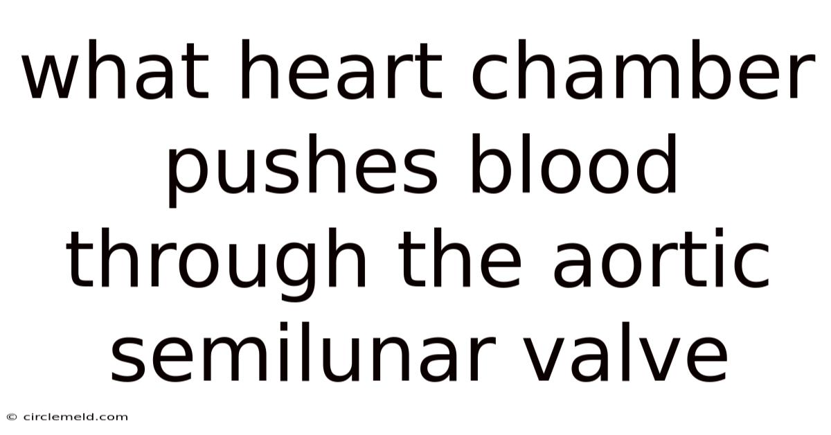 What Heart Chamber Pushes Blood Through The Aortic Semilunar Valve