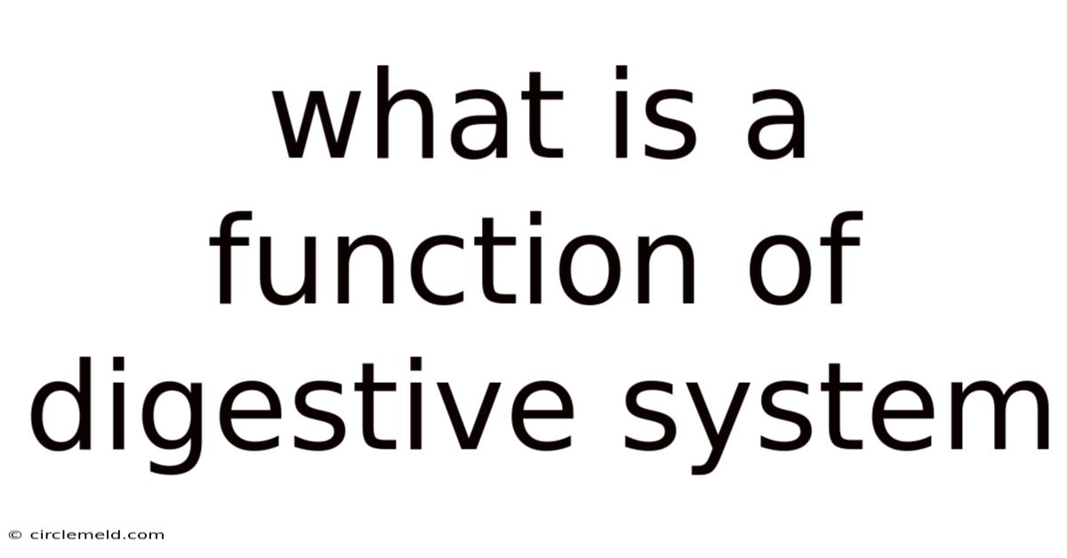 What Is A Function Of Digestive System