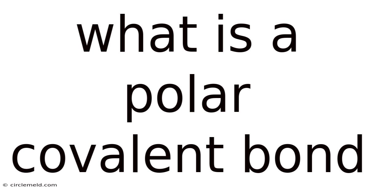 What Is A Polar Covalent Bond