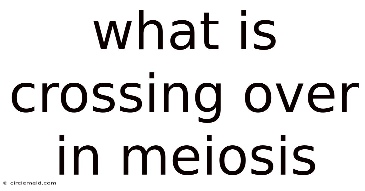 What Is Crossing Over In Meiosis