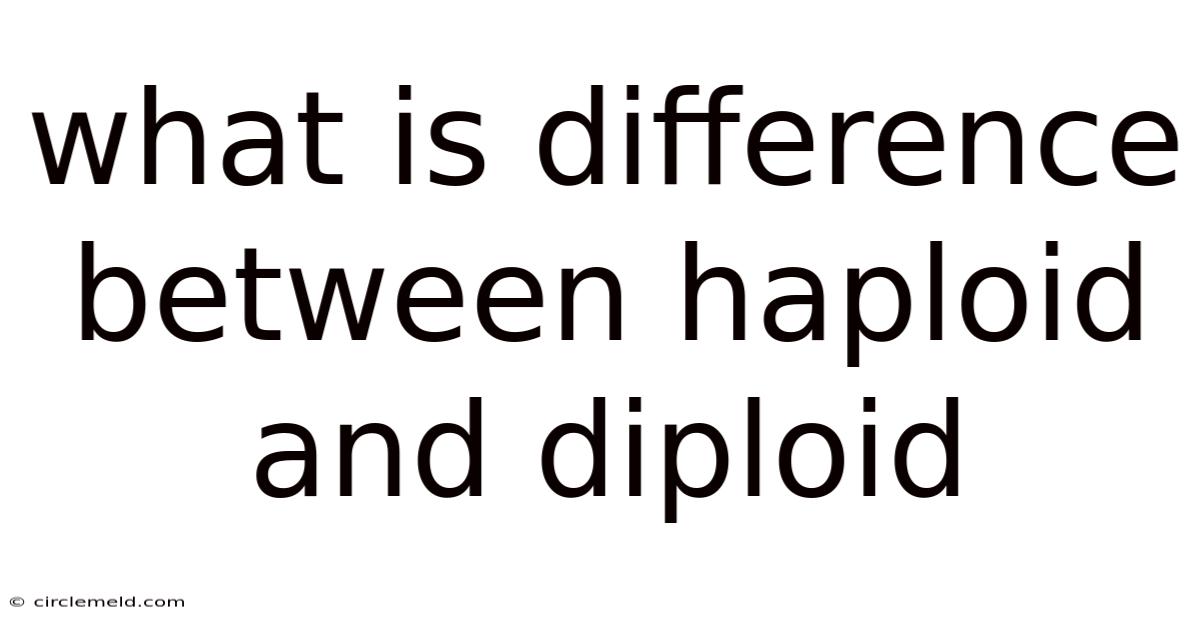 What Is Difference Between Haploid And Diploid