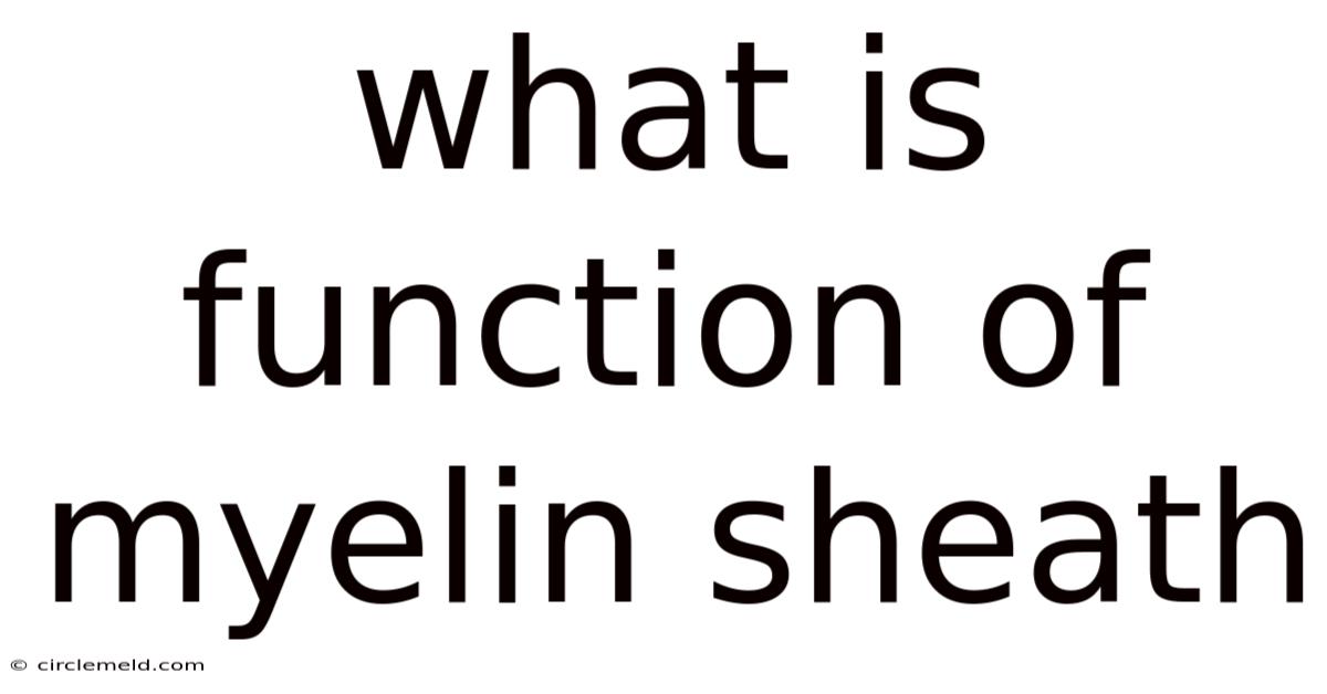What Is Function Of Myelin Sheath