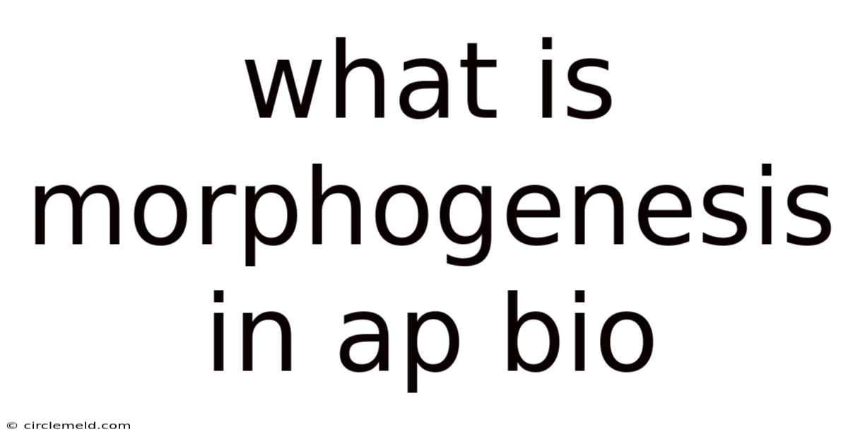 What Is Morphogenesis In Ap Bio