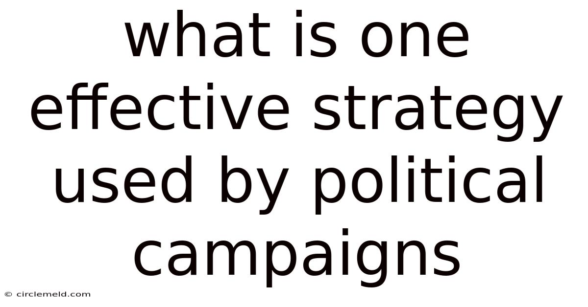 What Is One Effective Strategy Used By Political Campaigns