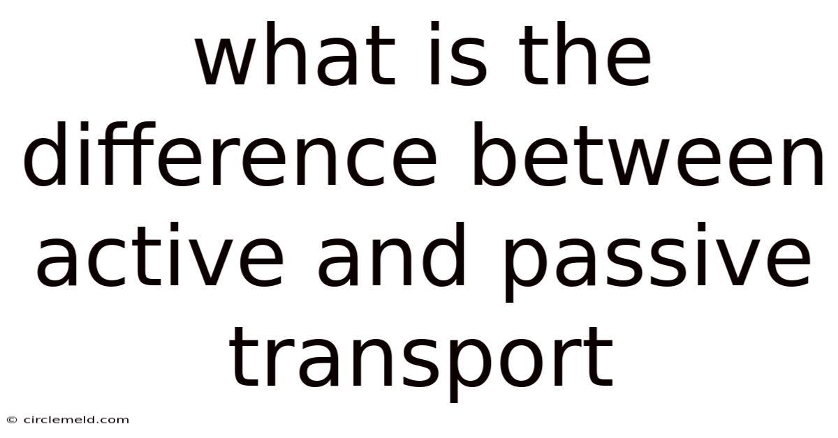 What Is The Difference Between Active And Passive Transport