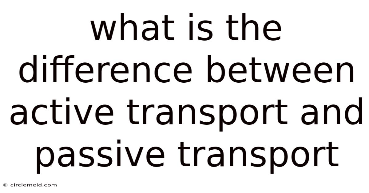 What Is The Difference Between Active Transport And Passive Transport