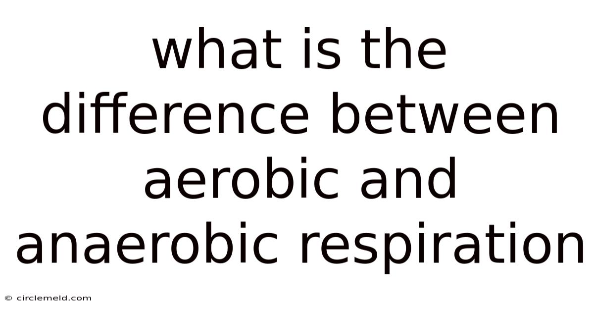 What Is The Difference Between Aerobic And Anaerobic Respiration
