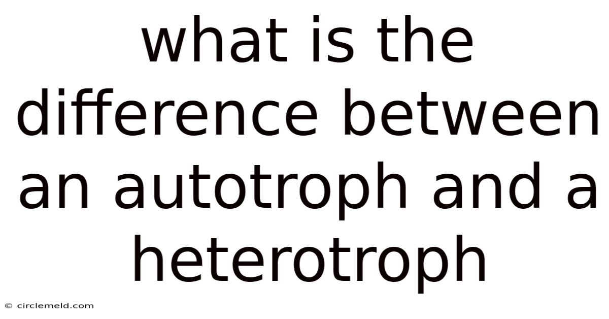 What Is The Difference Between An Autotroph And A Heterotroph