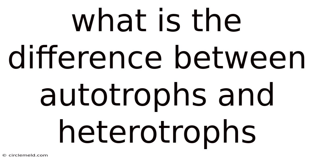 What Is The Difference Between Autotrophs And Heterotrophs