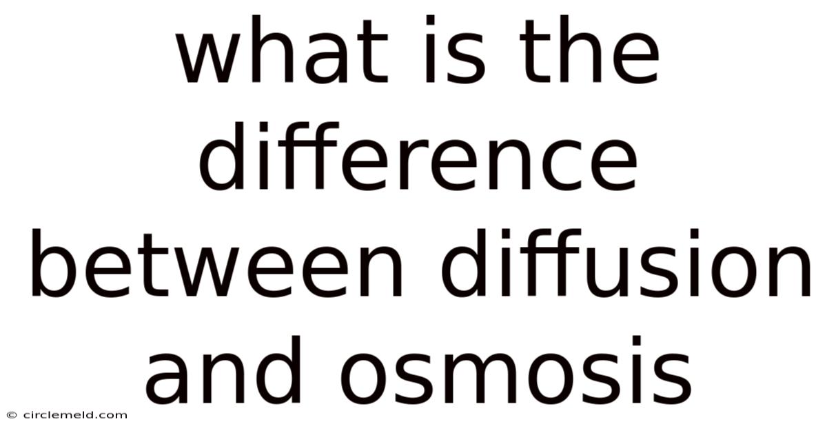 What Is The Difference Between Diffusion And Osmosis