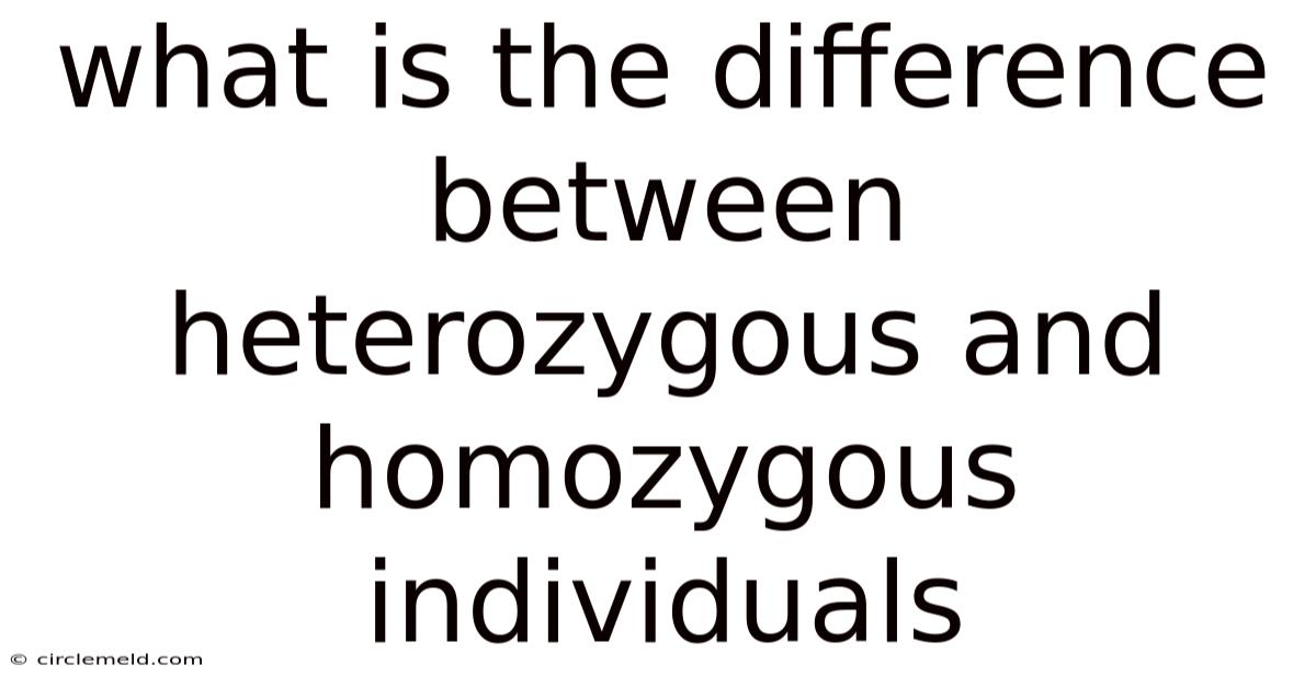 What Is The Difference Between Heterozygous And Homozygous Individuals