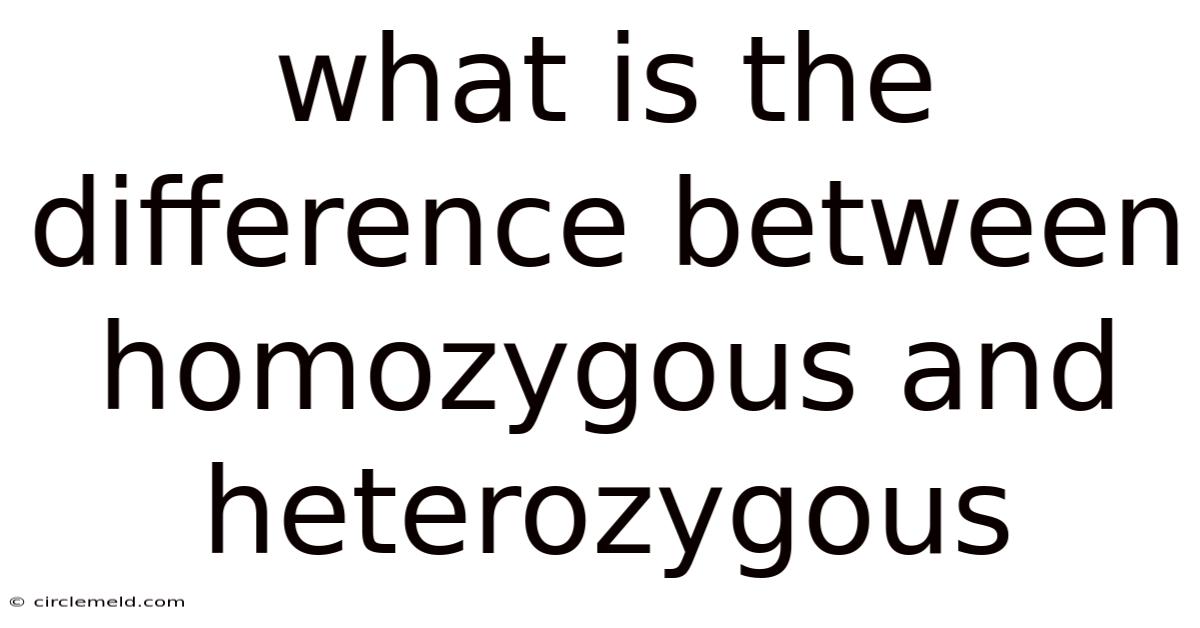 What Is The Difference Between Homozygous And Heterozygous