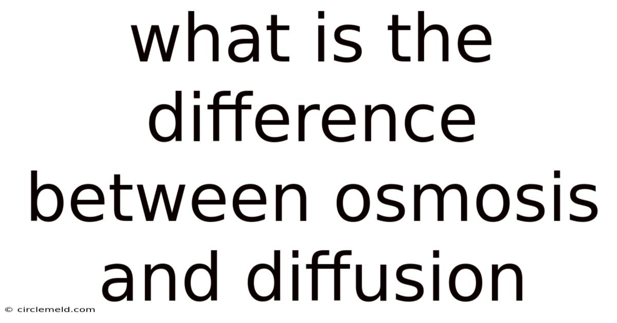 What Is The Difference Between Osmosis And Diffusion