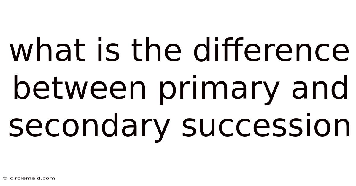 What Is The Difference Between Primary And Secondary Succession