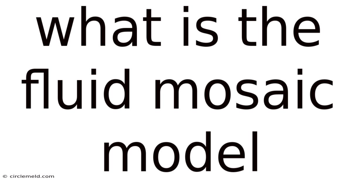 What Is The Fluid Mosaic Model