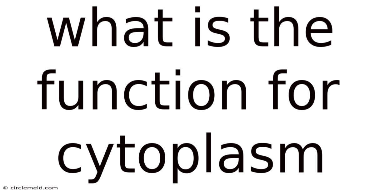 What Is The Function For Cytoplasm
