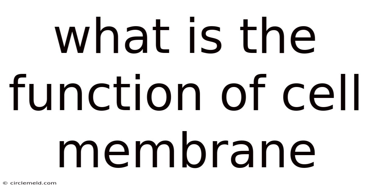 What Is The Function Of Cell Membrane