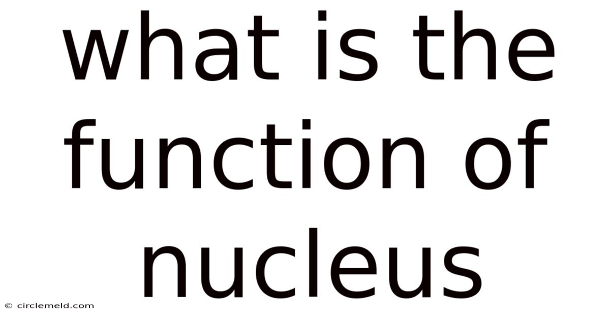 What Is The Function Of Nucleus
