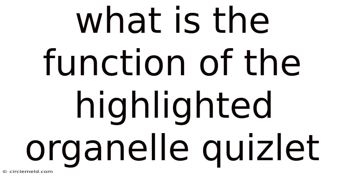 What Is The Function Of The Highlighted Organelle Quizlet