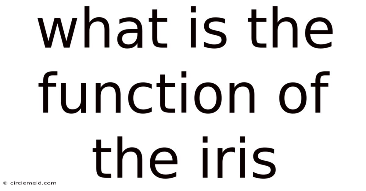 What Is The Function Of The Iris