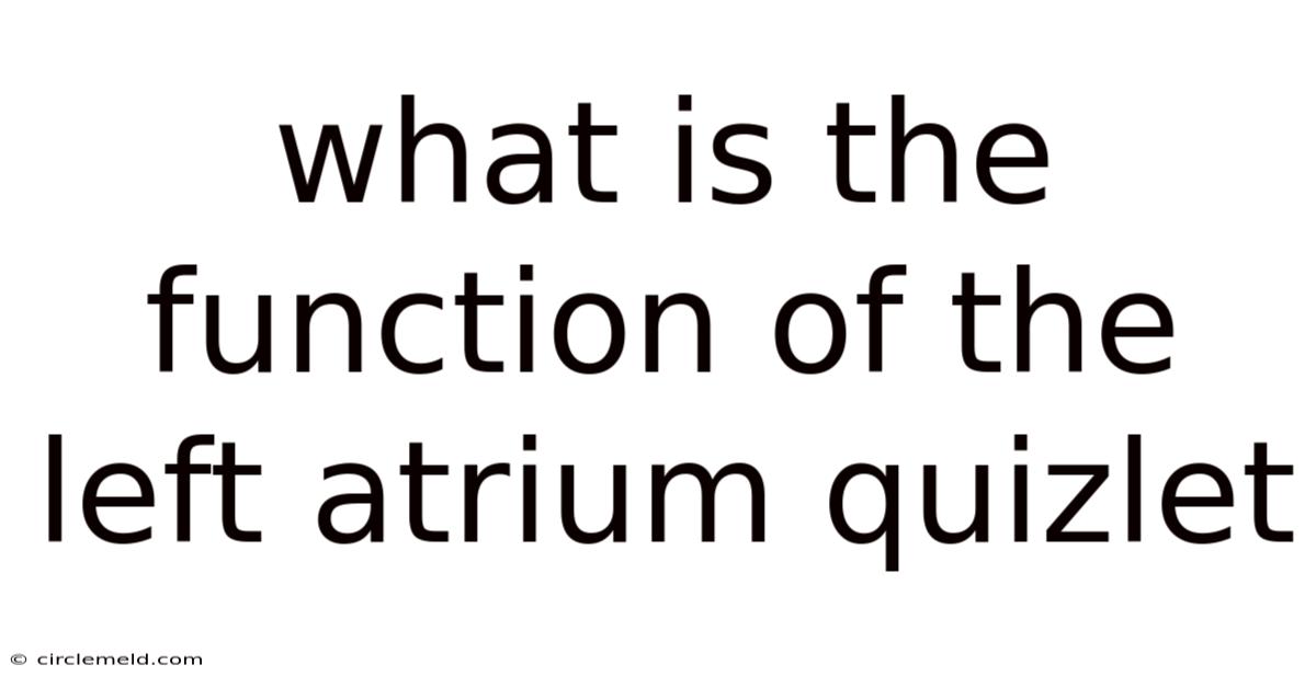 What Is The Function Of The Left Atrium Quizlet