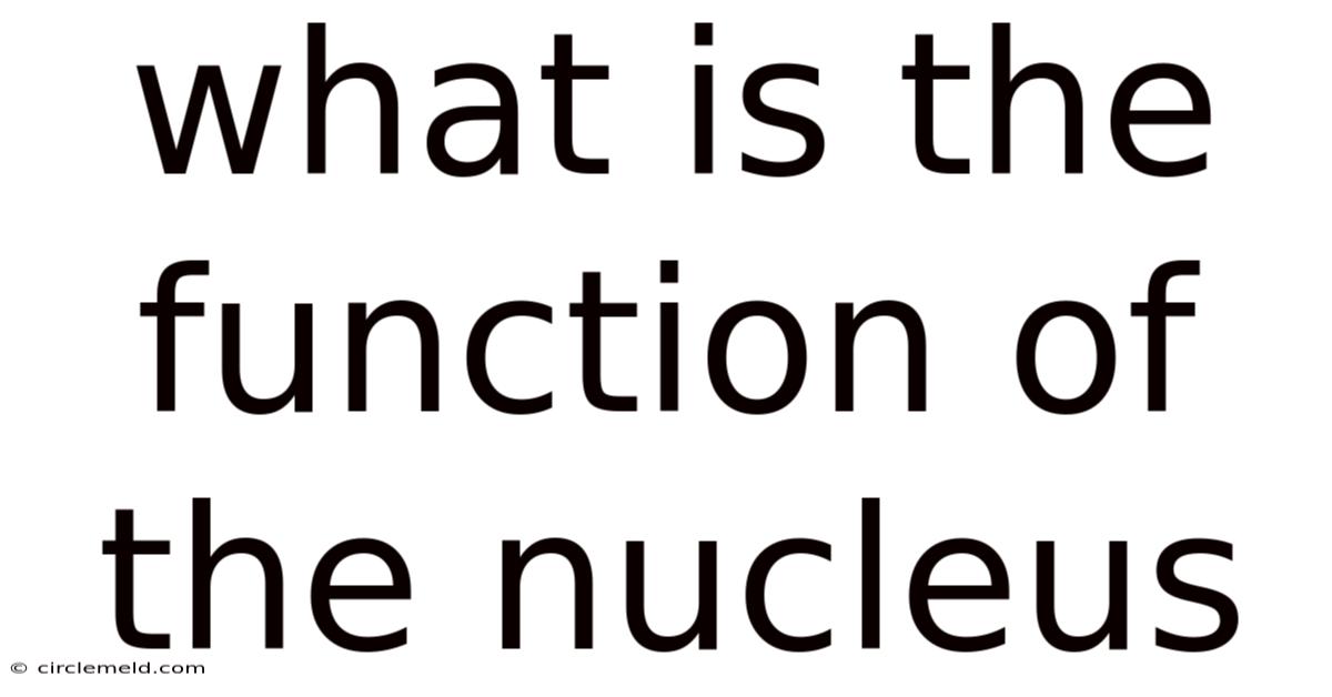 What Is The Function Of The Nucleus