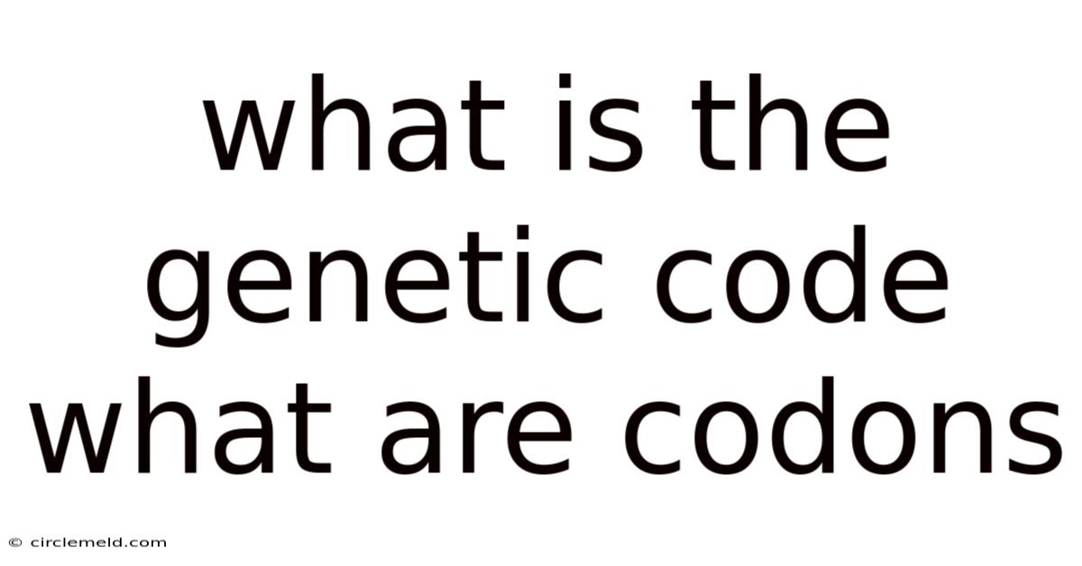 What Is The Genetic Code What Are Codons