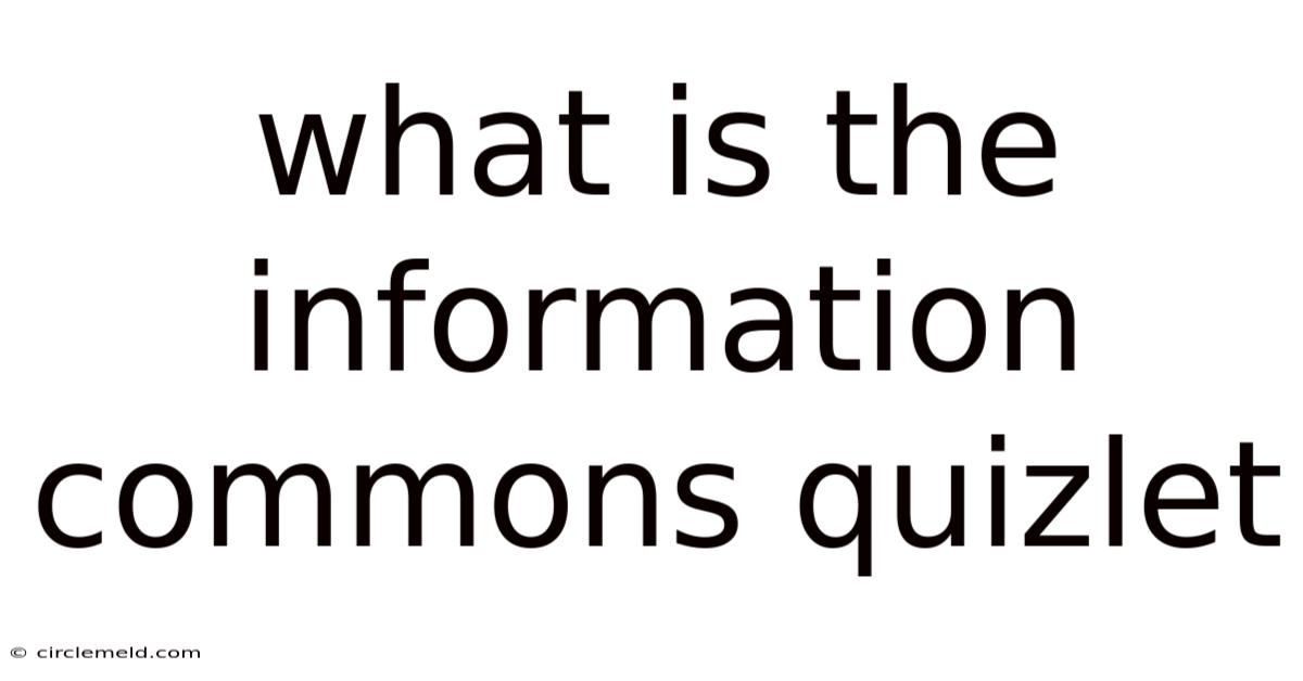 What Is The Information Commons Quizlet