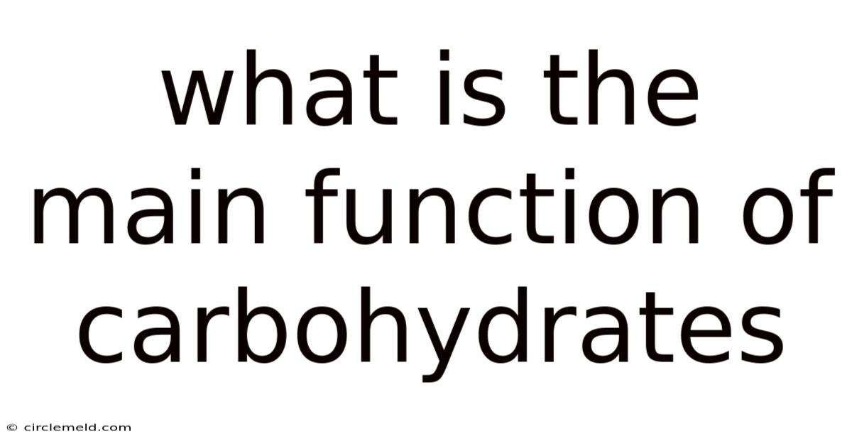 What Is The Main Function Of Carbohydrates