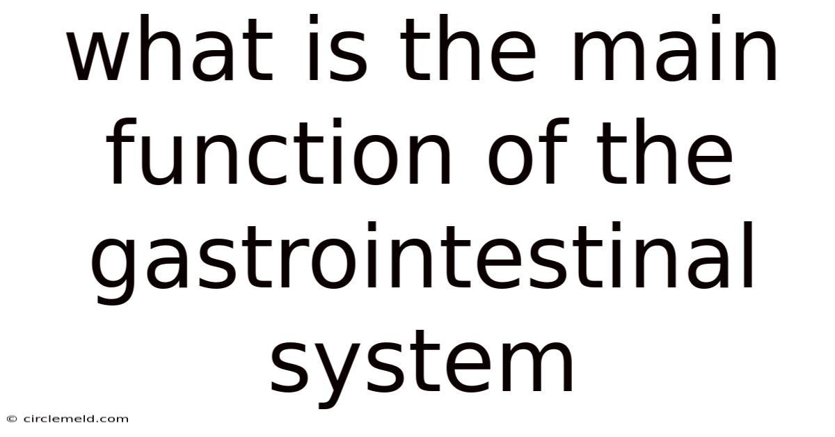 What Is The Main Function Of The Gastrointestinal System