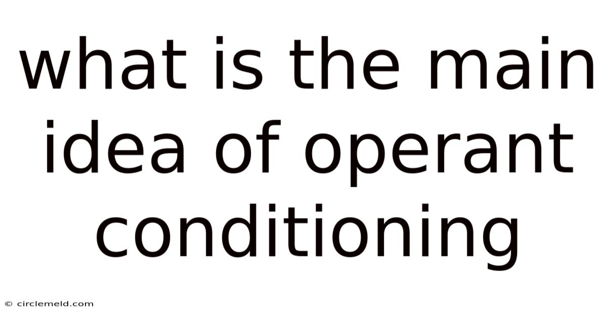 What Is The Main Idea Of Operant Conditioning