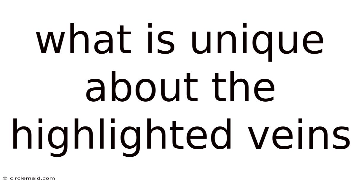 What Is Unique About The Highlighted Veins